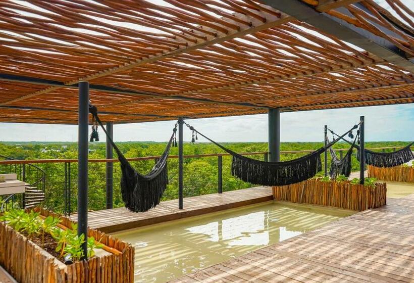 استودیوی استاندارد, Amelia 104 Studio