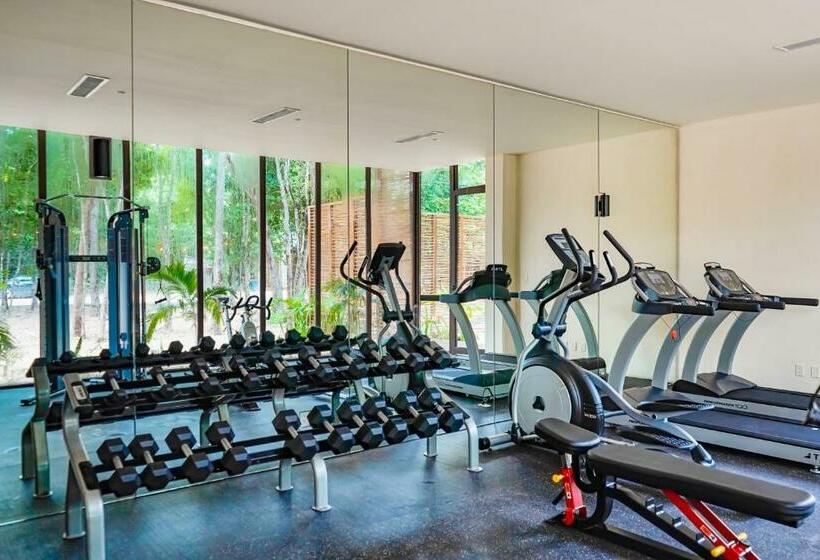 استودیوی استاندارد, Amelia 104 Studio