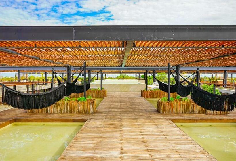 استودیوی استاندارد, Amelia 104 Studio