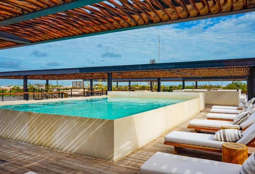 استودیوی استاندارد, Amelia 104 Studio