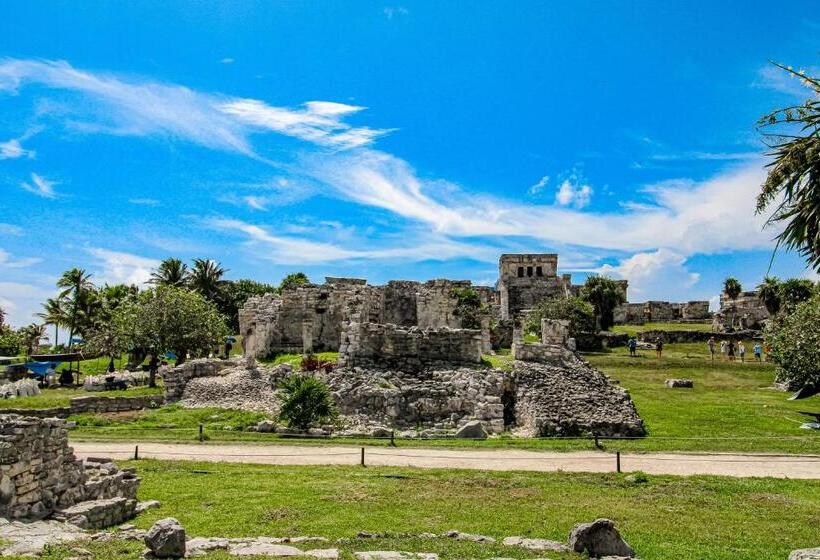 استودیوی استاندارد, Amelia 104 Studio