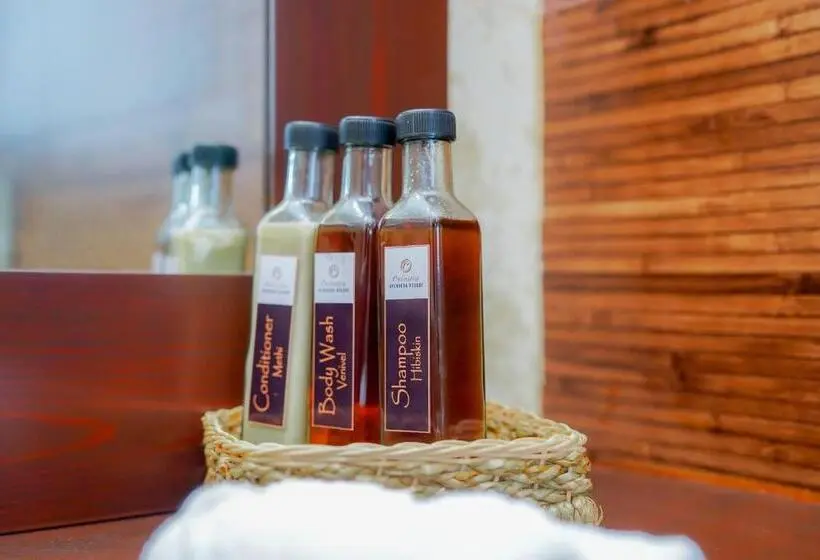 身障者適用スタンダードルーム, Celestia Ayurveda Resort