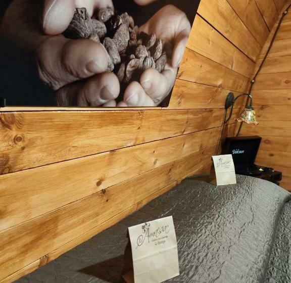 标准间, Choco B&b