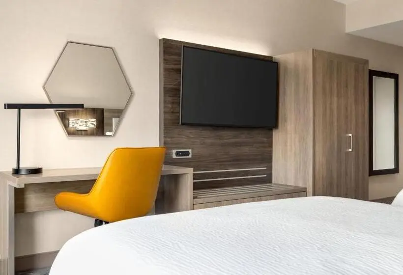 身障者適用キングサイズベッドルーム, Holiday Inn Express   Strathroy, An Ihg