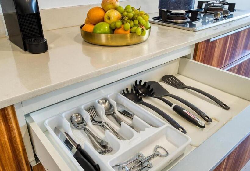 1 Sovrums Lägenhet, Uliv Revolución Tijuana