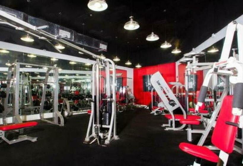 带海景的标准工作室, 11th   Seven Heaven Miami  Unforgettable Ocean Front  Free Parking