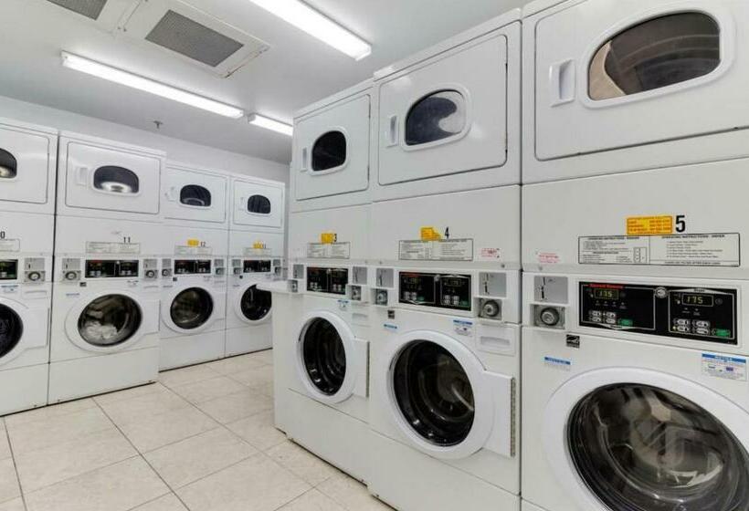 带海景的标准工作室, 11th   Seven Heaven Miami  Unforgettable Ocean Front  Free Parking