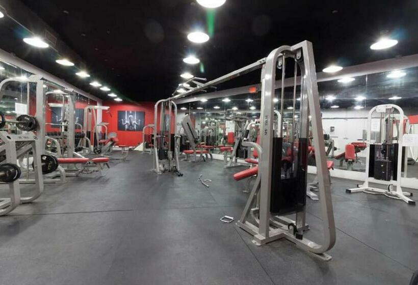 带海景的标准工作室, 11th   Seven Heaven Miami  Unforgettable Ocean Front  Free Parking