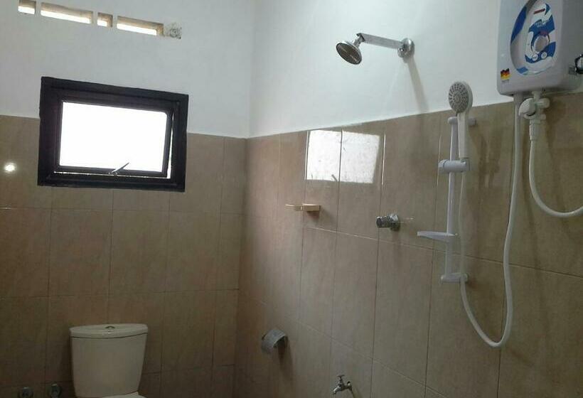 Номер Стандарт, Yaarl Holiday