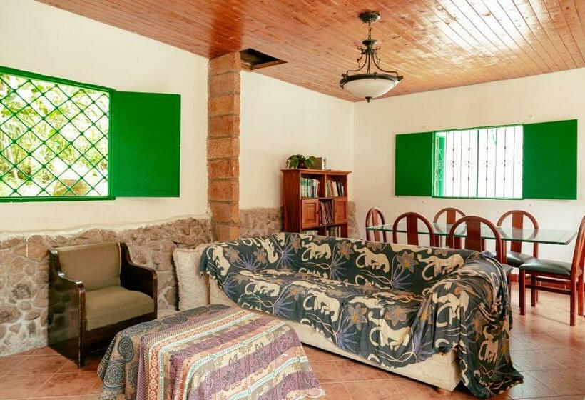 스탠다드 룸, Luzart