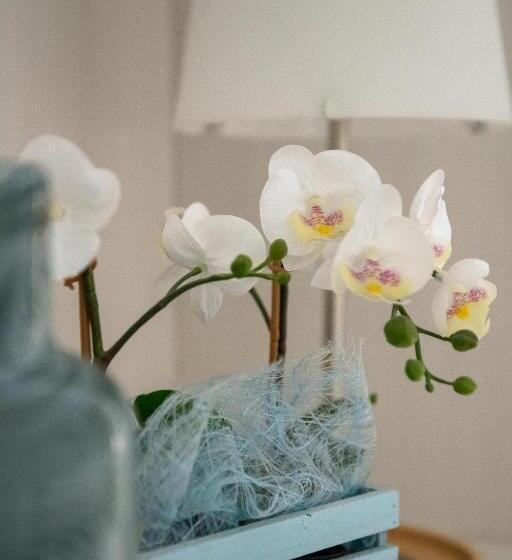 חדר סטנדרט, Eliseo Riccione