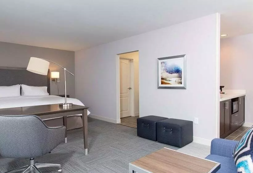 ダブルベッドのスタンダードスタジオ, Hampton Inn & Suites Michigan City
