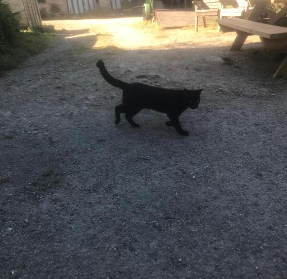 غرفة إقتصادية, The Northmore Arms