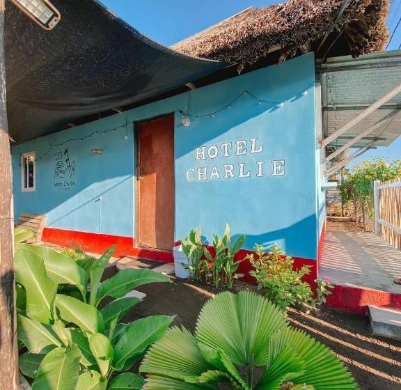 تختخواب در اتاق مشترک, Bedrooms Where Charlie