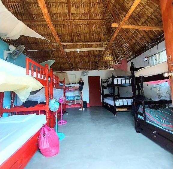 تختخواب در اتاق مشترک, Bedrooms Where Charlie