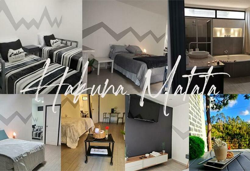 اتاق استاندارد چهار تخته, Vita Mountain Lodge
