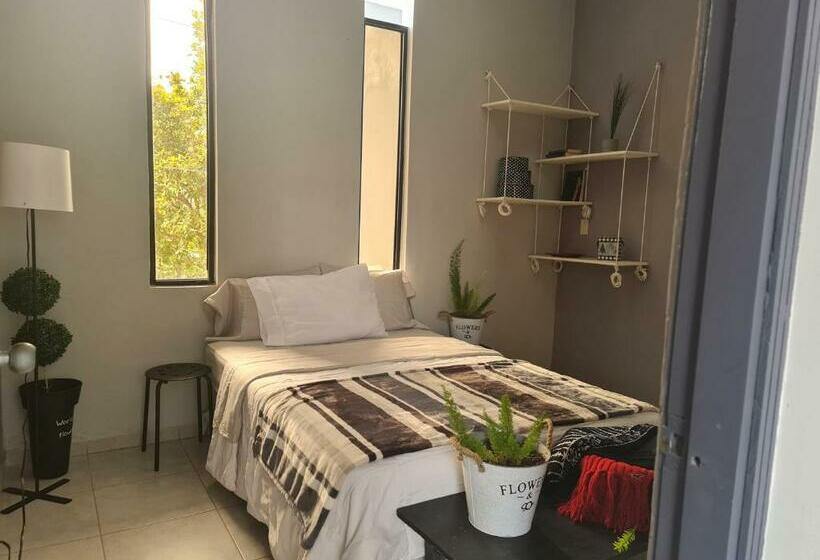 اتاق استاندارد, Vita Mountain Lodge