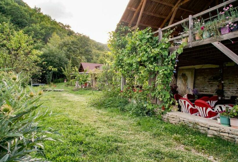 家庭间, Ferma Albanik