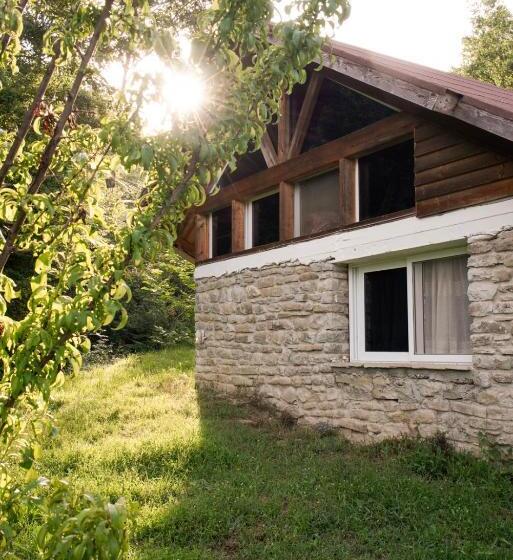 家庭间, Ferma Albanik