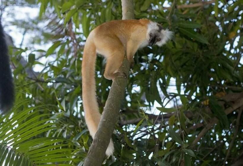 Triple Room Sea View, Le Panoramique Ankify