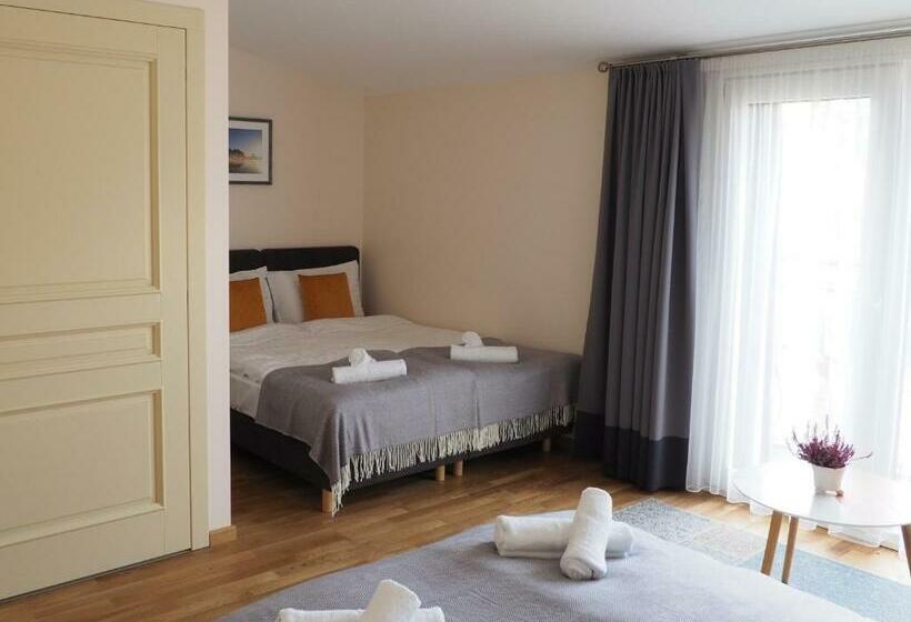 اتاق استاندارد چهار تخته, Svečių Namai žara