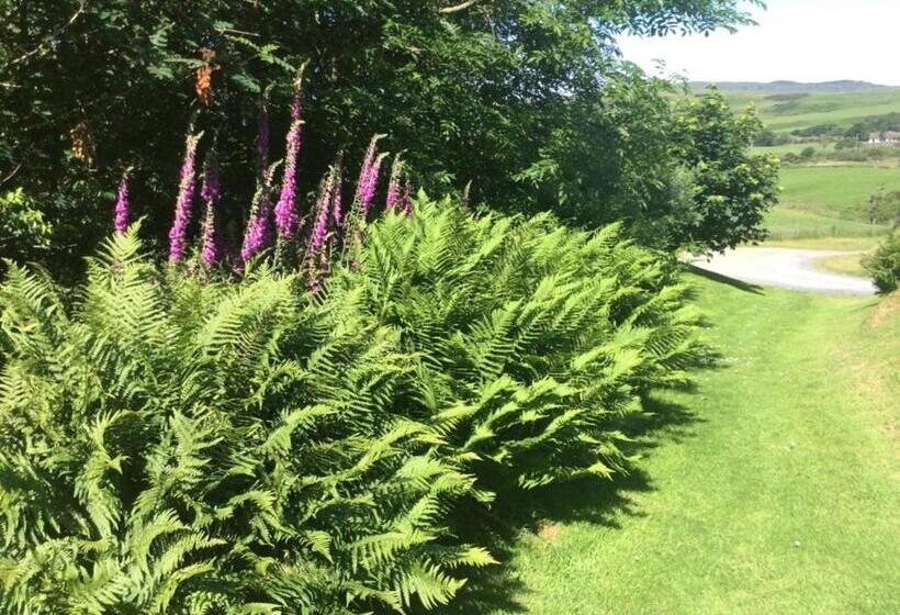 Номер Стандарт, Kilmeny