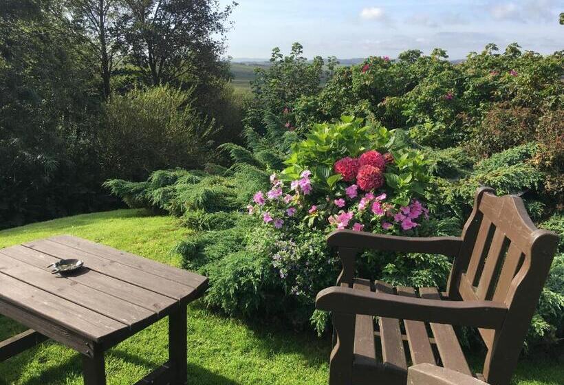 Номер Стандарт, Kilmeny