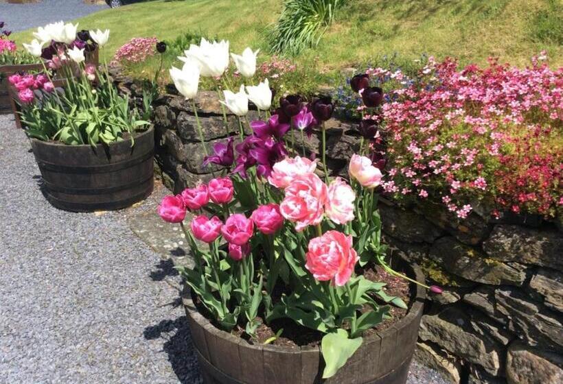 Люкс Кровать Кинг, Kilmeny