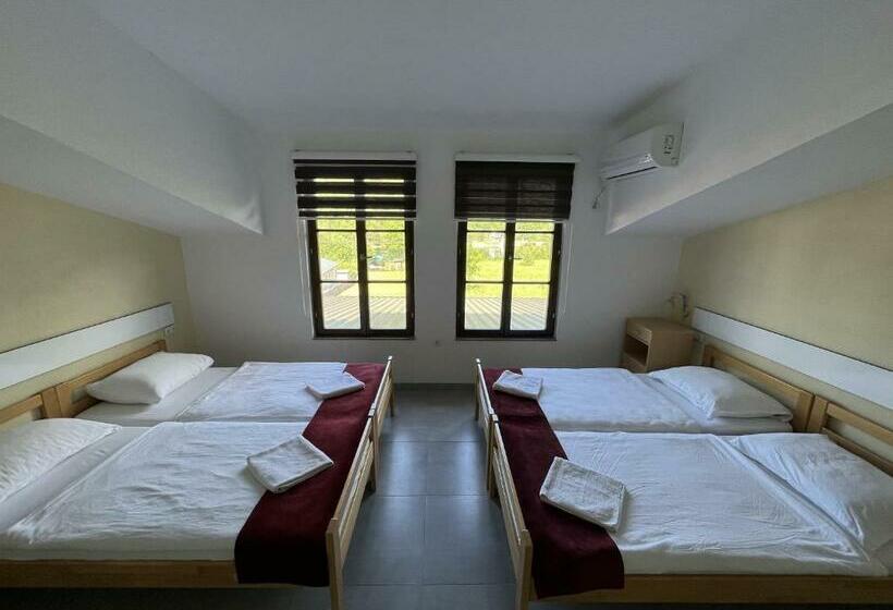 اتاق استاندارد چهار تخته, River View