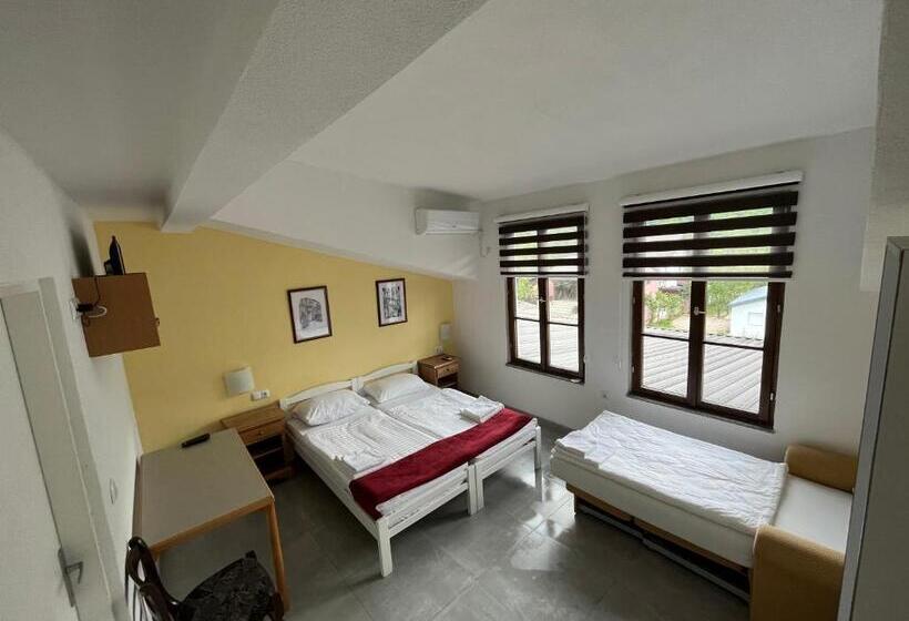 اتاق استاندارد سه نفره, River View