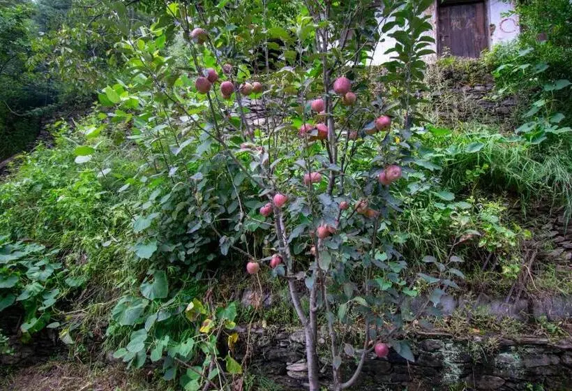 اتاق لوکس, Octave Himalayan Hamlet