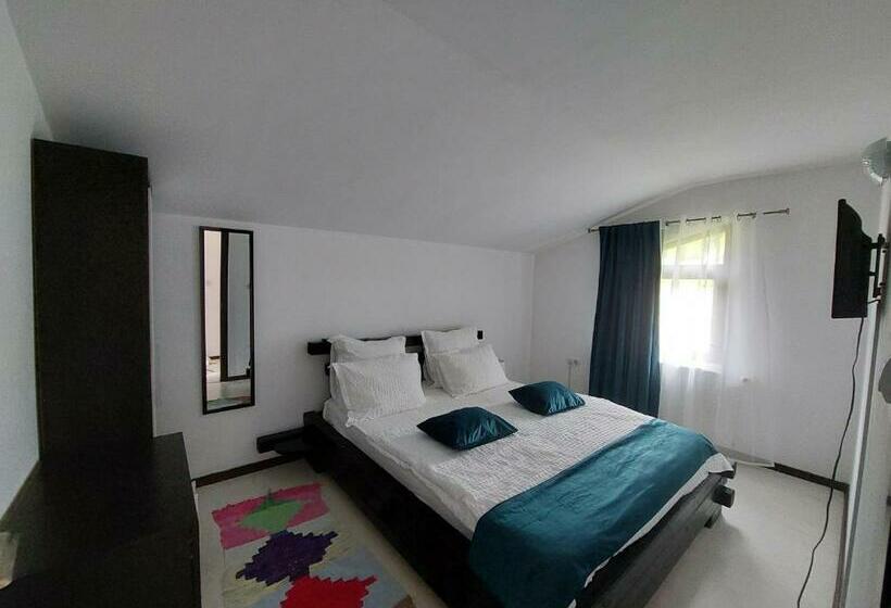 غرفة قياسية, Casa Nico Nelu Duplex