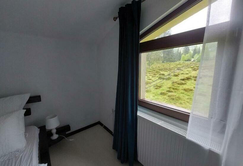 غرفة قياسية, Casa Nico Nelu Duplex