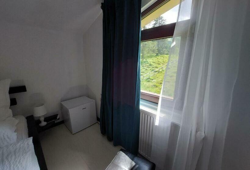 غرفة قياسية, Casa Nico Nelu Duplex