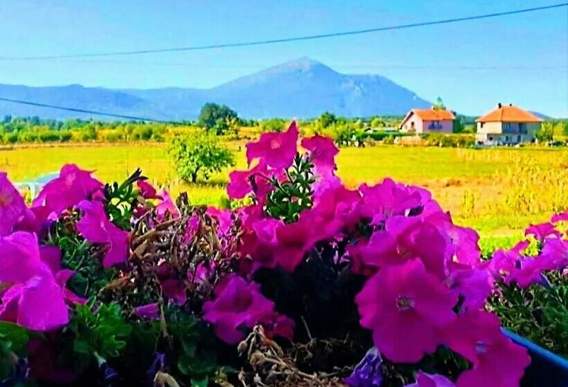 اتاق لوکس سه تخته, Villa Saturea