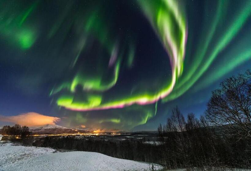 1 Sovrums Lägenhet, Aurora Borealis Observatory