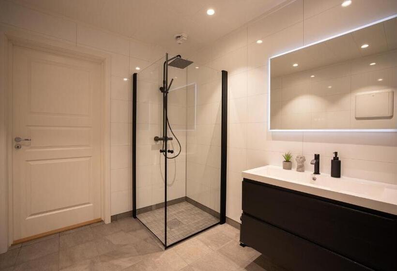 דירת חדר דלוקס, Aurora Borealis Observatory