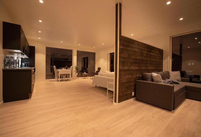 סטודיו דלוקס, Aurora Borealis Observatory