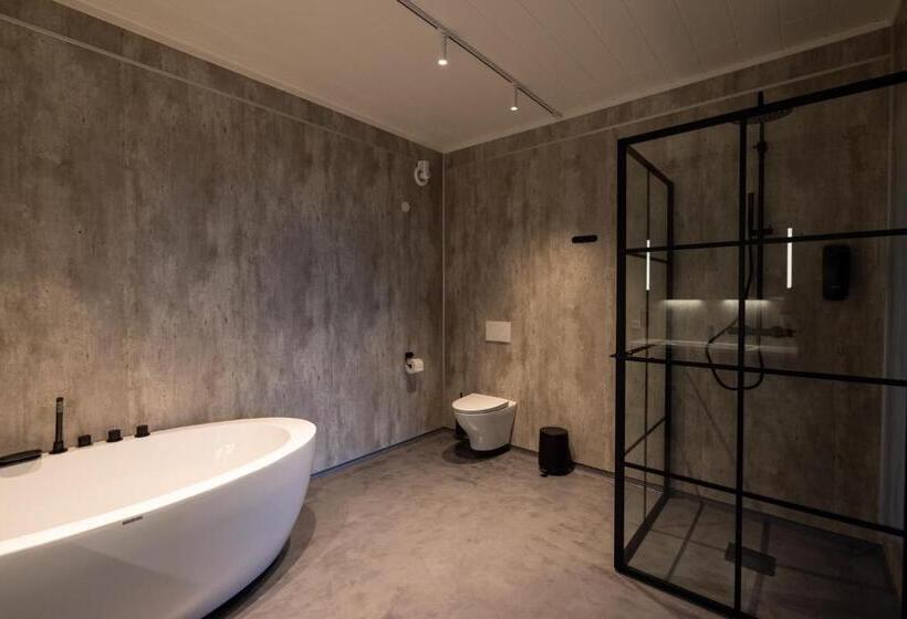 סוויטה אקזקיוטיב, Aurora Borealis Observatory