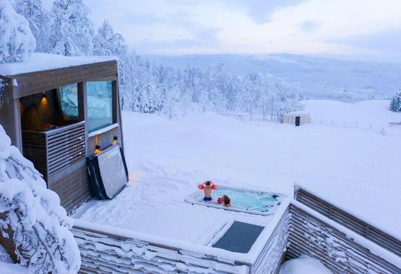 סוויטה אקזקיוטיב, Aurora Borealis Observatory