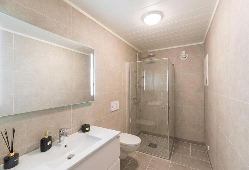 סוויטה, Aurora Borealis Observatory