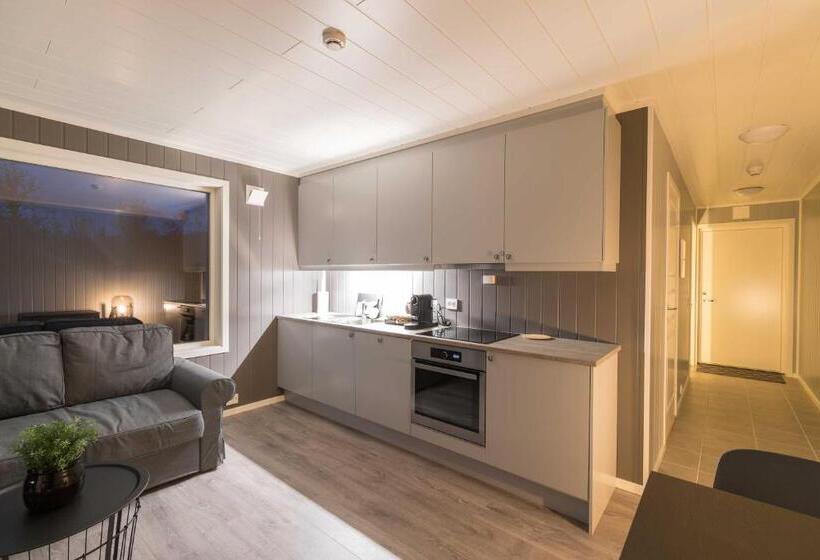 סוויטה, Aurora Borealis Observatory