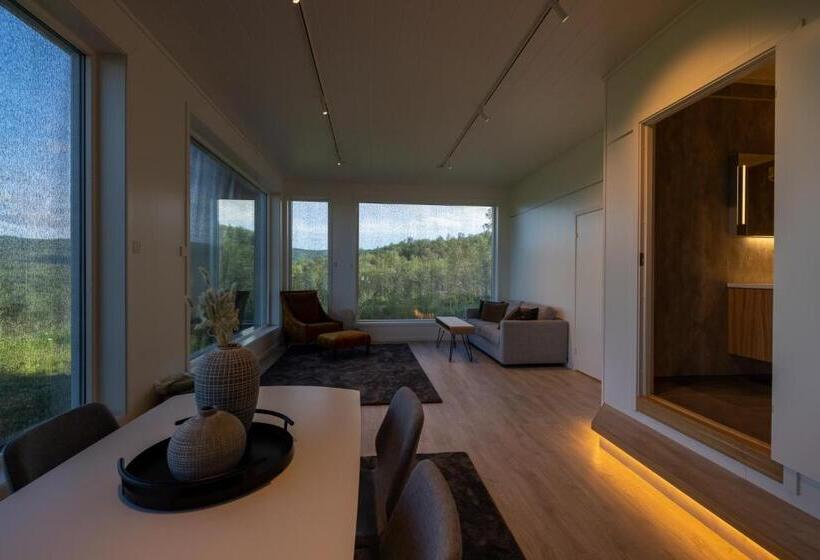 סוויטה אקזקיוטיב, Aurora Borealis Observatory