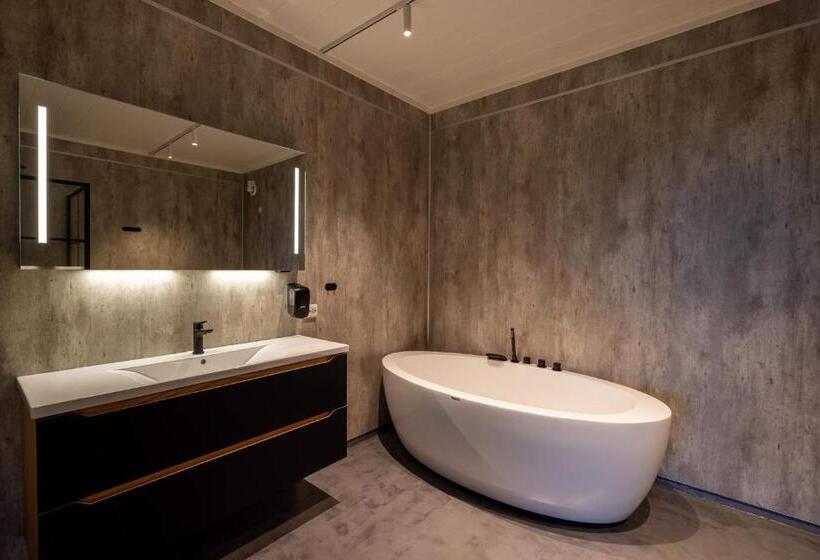 סוויטה אקזקיוטיב, Aurora Borealis Observatory