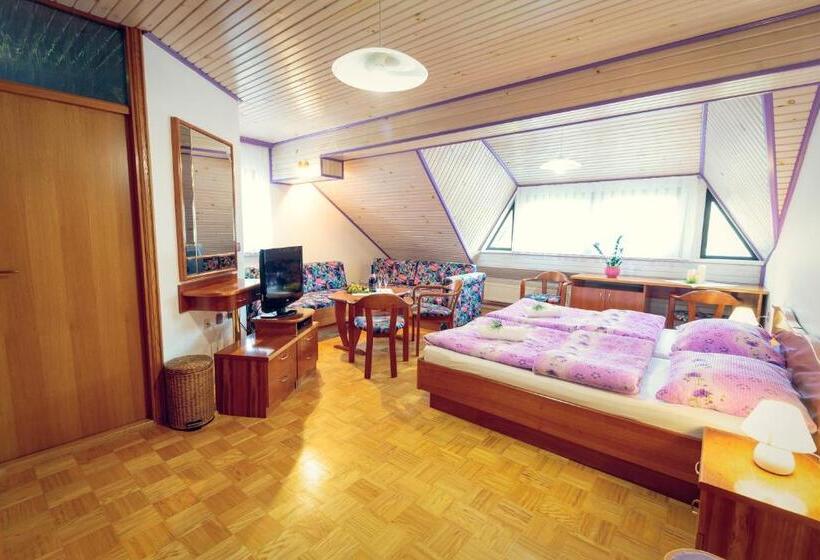 اتاق استاندارد چهار تخته, župančičev Hram