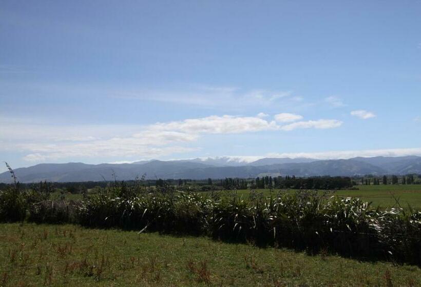 דירת חדר, Languor B&b