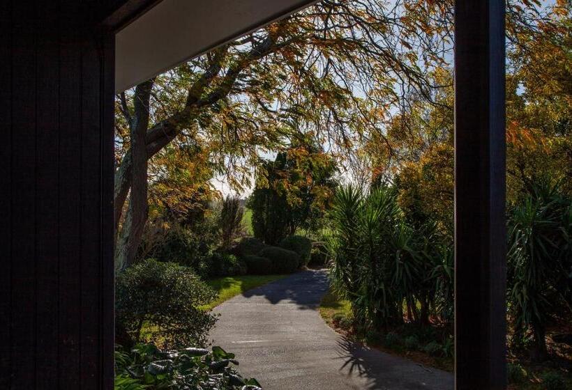 דירת חדר, Languor B&b