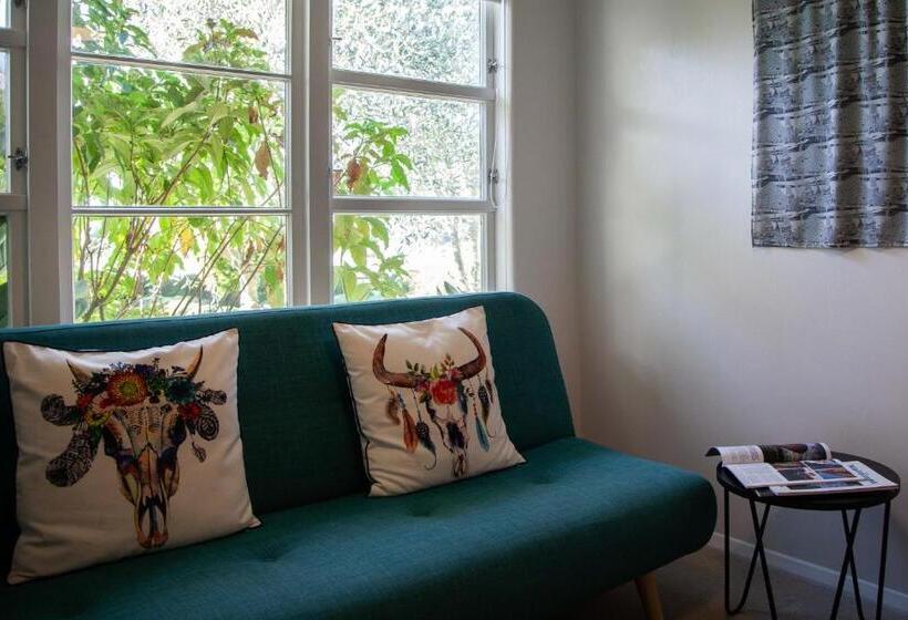 דירת חדר, Languor B&b