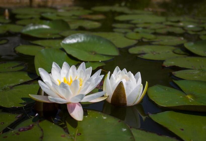 خانه 3 خوابه, Bee House Maya