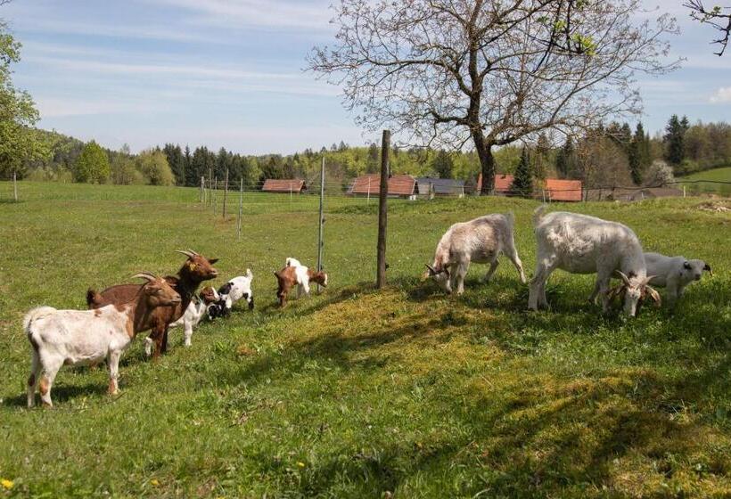 خانه 3 خوابه, Bee House Maya